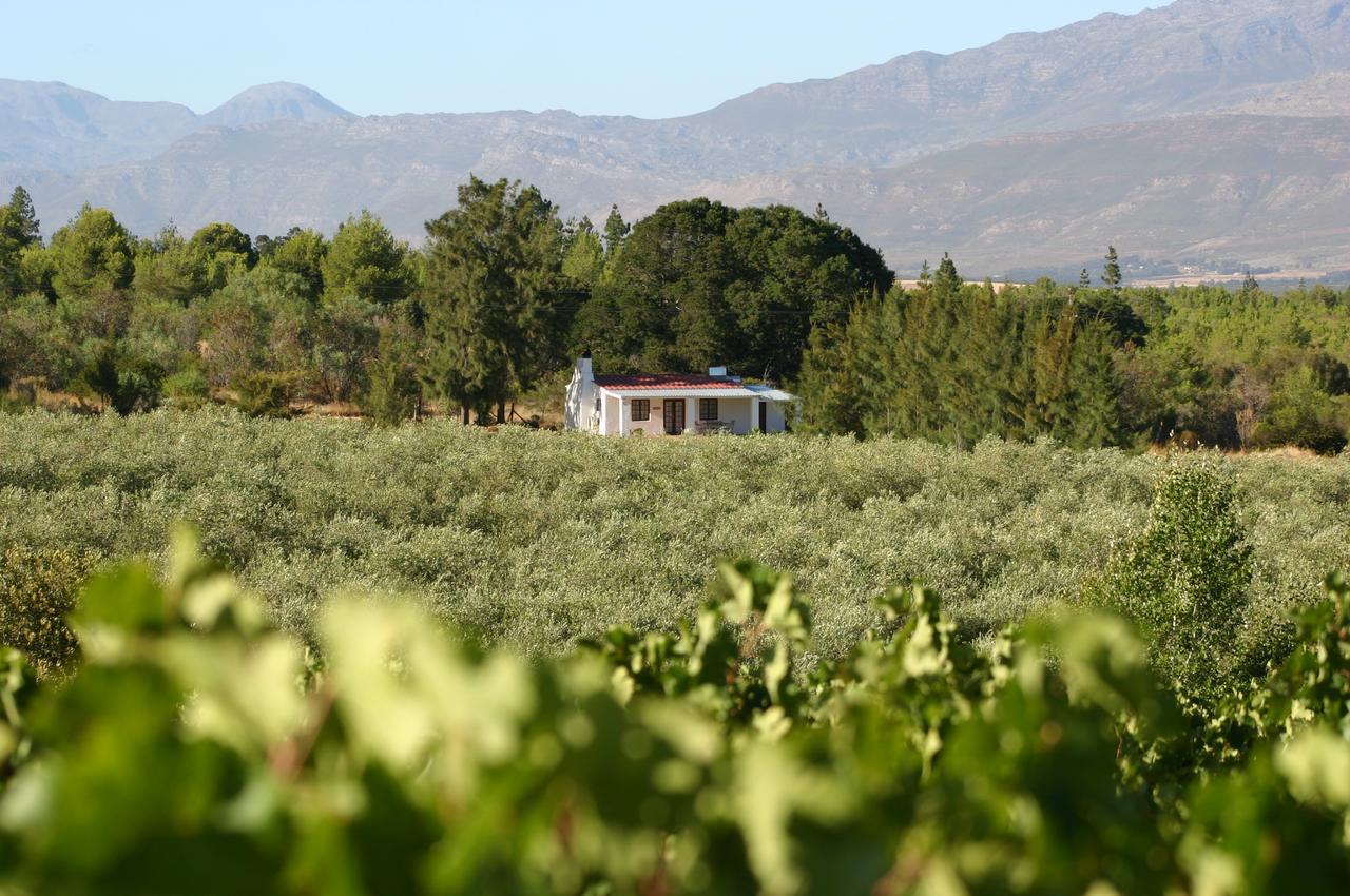 Fraaigelegen Farm - Home Of Adhara Evoo Tulbagh Luaran gambar